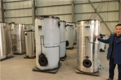 天然气低氮锅炉