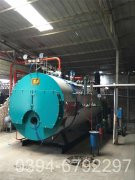 十吨燃煤蒸汽锅炉