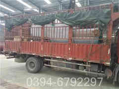 一体式电热水锅炉