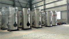 250万大卡天然气导热油炉