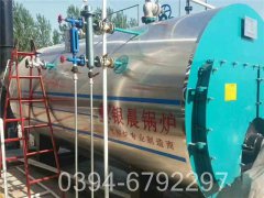 八吨低氮燃气锅炉