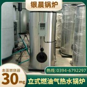 WNS10-1.25-QY天然气蒸汽锅炉YABO.COM