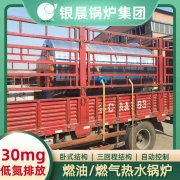 WNS12-1.25-QY冷凝蒸汽锅炉YABO.COM