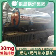 12吨低氮冷凝蒸汽锅炉YABO.COM