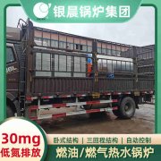 10吨天然气蒸汽锅炉YABO.COM