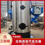 0.3吨低氮冷凝蒸汽锅炉YABO.COM