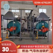 燃煤锅炉改造生物质锅炉