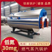 wns6锅炉