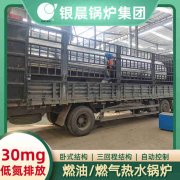 燃油燃气蒸汽锅炉