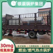 CWNS5.6-85/60-QY锅炉