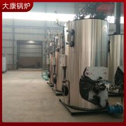 0.1吨燃生物质蒸汽发生器YABO.COM同行都在用